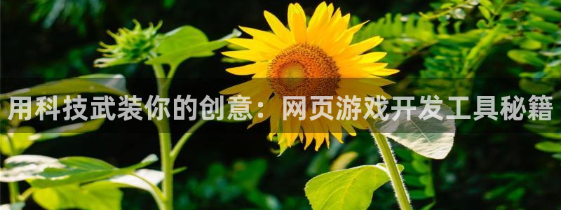 沐鸣娱乐2注册官网