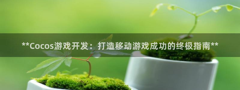 沐鸣2平台开户