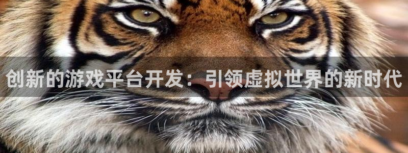 沐鸣娱乐平台2注册