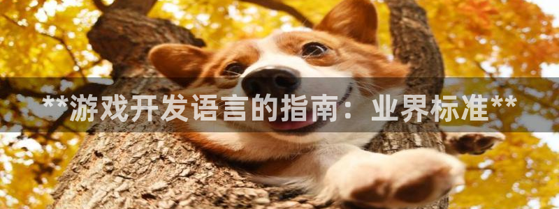 沐鸣娱乐2如何找回密码