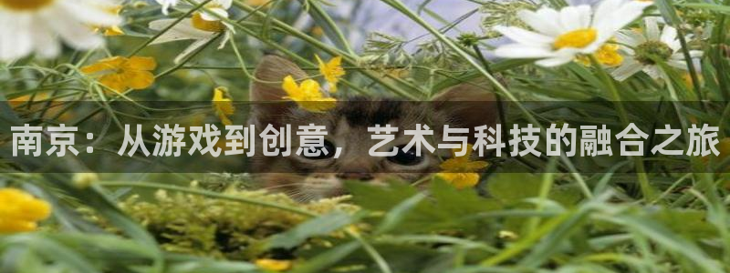 沐鸣娱乐2官方平台是什么：南京：从游戏到创意，艺术与科技的融合之旅
