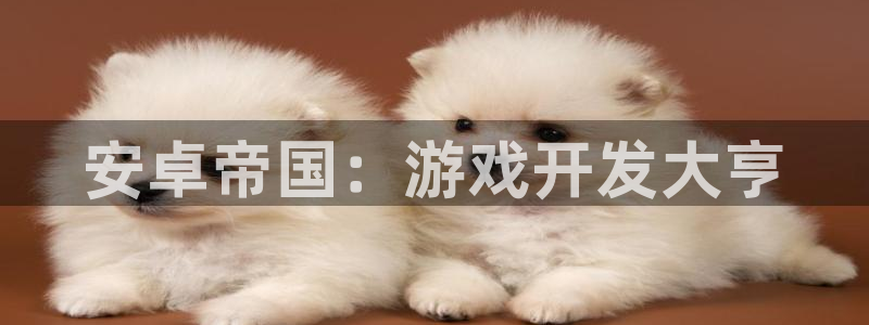 沐鸣2注册登录：安卓帝国：游戏开发大亨