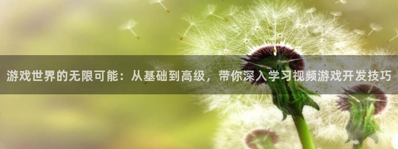 沐鸣2app：游戏世界的无限可能：从基础到高级，带你深入学习视频游戏开发技巧