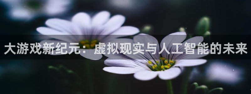 沐鸣2代理求27337：大游戏新纪元：虚拟现实与人工智能的未来