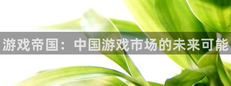 沐鸣2平台测速登录：游戏帝国：中国游戏市场的未来可能