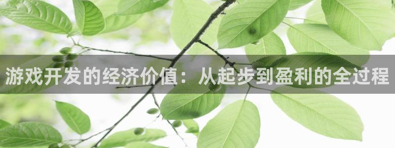 沐鸣2注册连接：游戏开发的经济价值：从起步到盈利的全过程