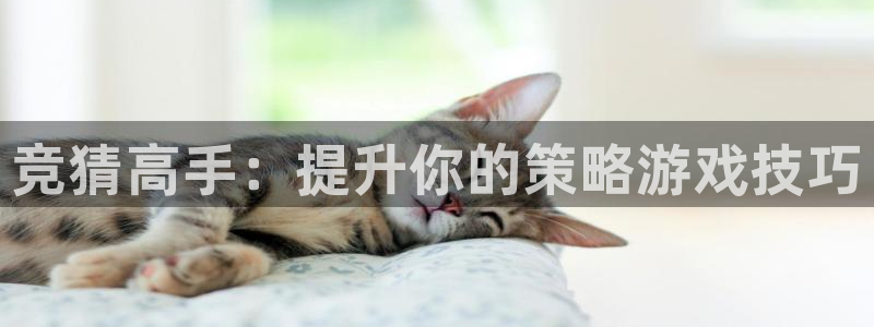 沐鸣2官网注册地址：竞猜高手：提升你的策略游戏技巧