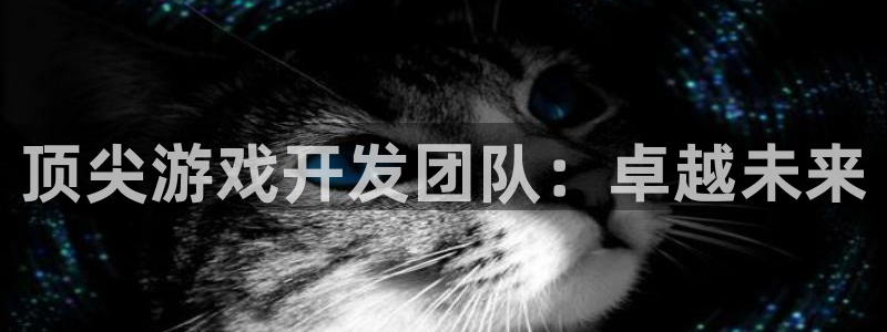 沐鸣娱乐2代理：顶尖游戏开发团队：卓越未来