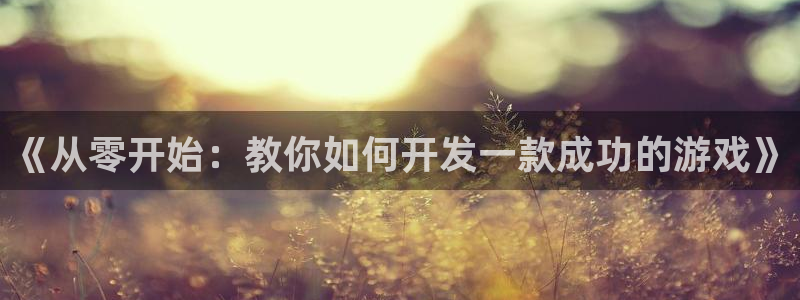 沐鸣2多少年：《从零开始：教你如何开发一款成功的游戏》