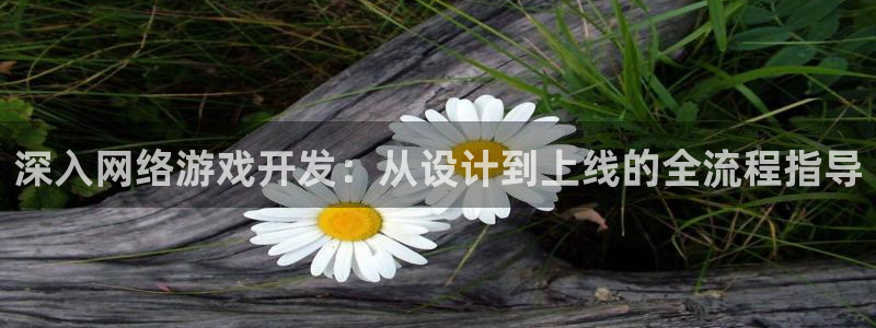 沐鸣2登录官方登录网站：深入网络游戏开发：从设计到上线的全流程指导