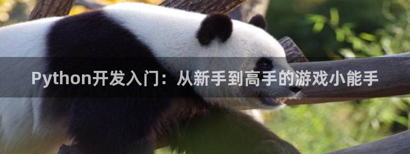 沐鸣2客服：Python开发入门：从新手到高手的游戏小能手