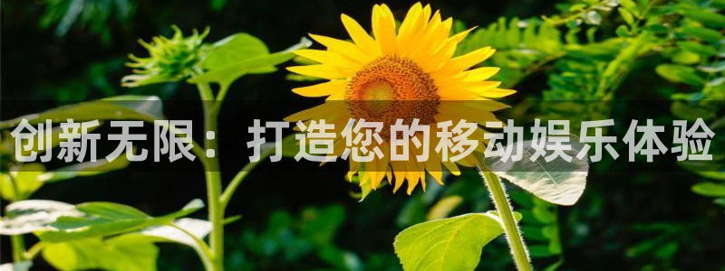 沐鸣娱乐2官方：创新无限：打造您的移动娱乐体验