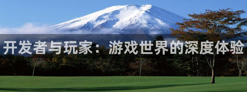 沐鸣2登录网址：开发者与玩家：游戏世界的深度体验