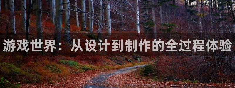 沐鸣2登陆：游戏世界：从设计到制作的全过程体验