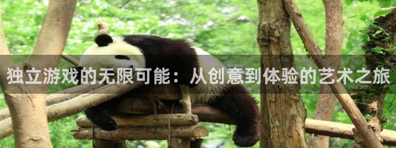 沐鸣2测速登录：独立游戏的无限可能：从创意到体验的艺术之旅