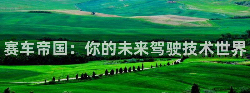 沐鸣2代理：赛车帝国：你的未来驾驶技术世界