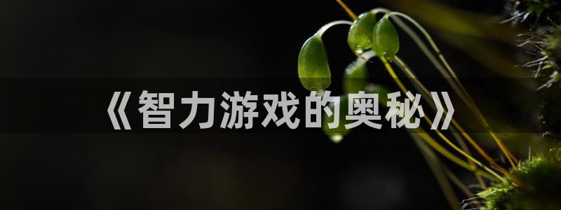沐鸣娱乐2的分分彩：《智力游戏的奥秘》