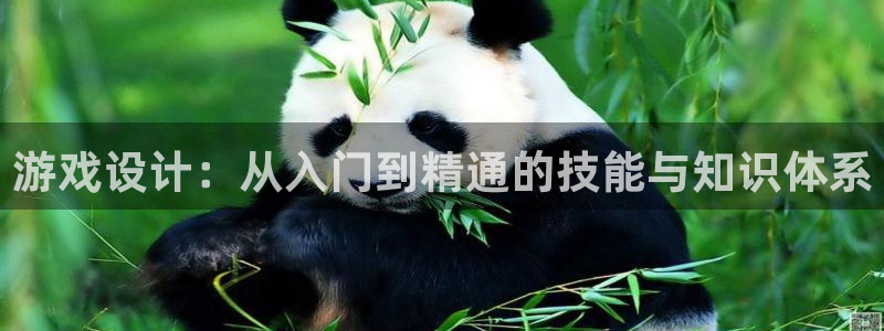 沐鸣2平台负责人：游戏设计：从入门到精通的技能与知识体系