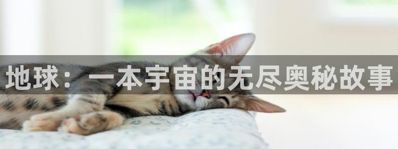 牛眼看书