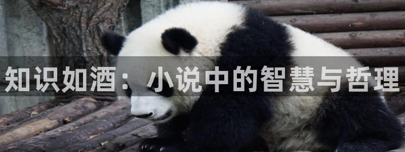 牛眼看书新网站