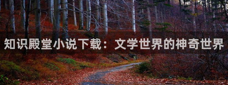 牛眼看书无错版